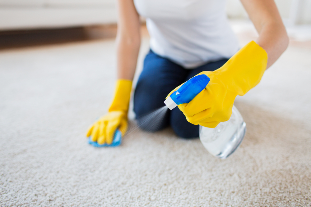 Caring for New Carpet: The Ultimate Guide