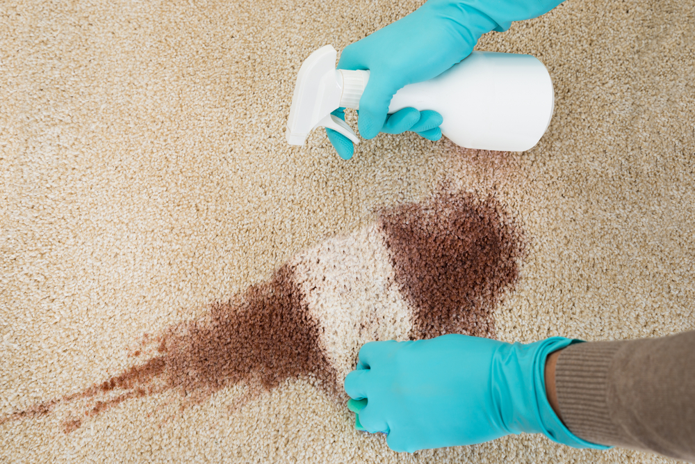 How to Clean Carpet Stains the Right Way
